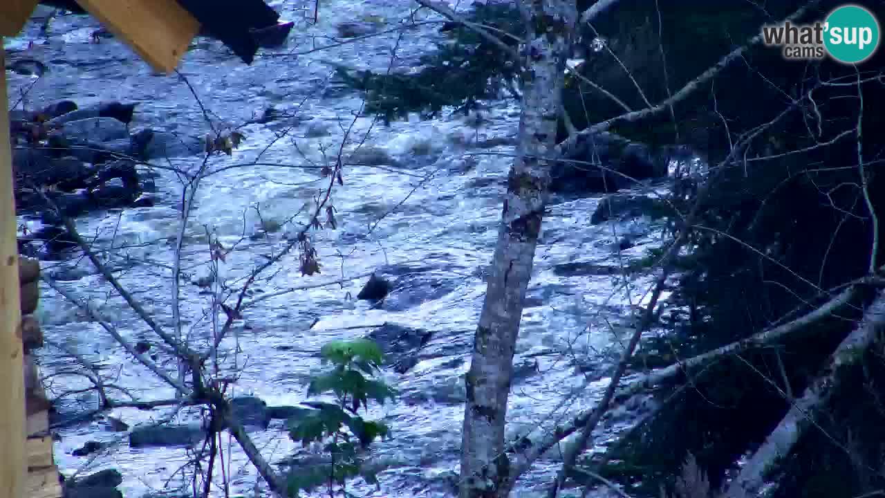 Webcam Lukanja – Pohorje houses a Water village