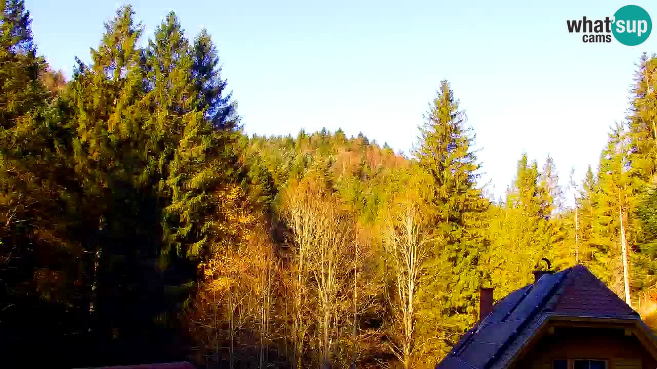 Webcam Lukanja – Water Village | Pohorje Houses