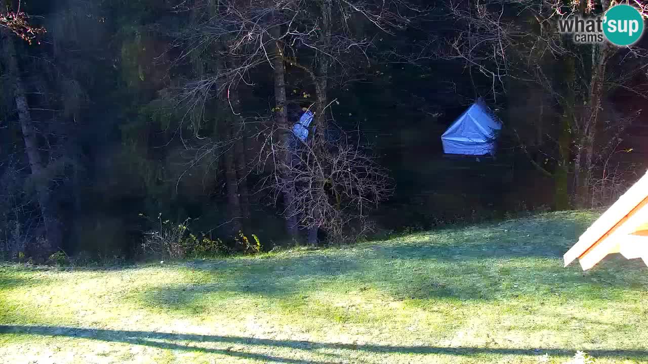 Webcam Lukanja – Pohorje houses a Water village