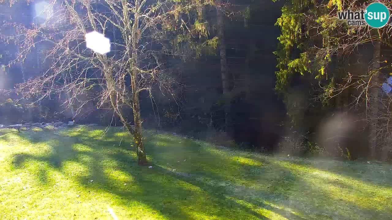 Webcam Lukanja – Water Village | Pohorje Houses