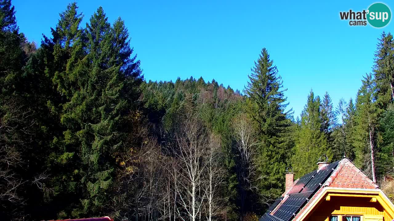 Webcam Lukanja – Pohorje houses a Water village