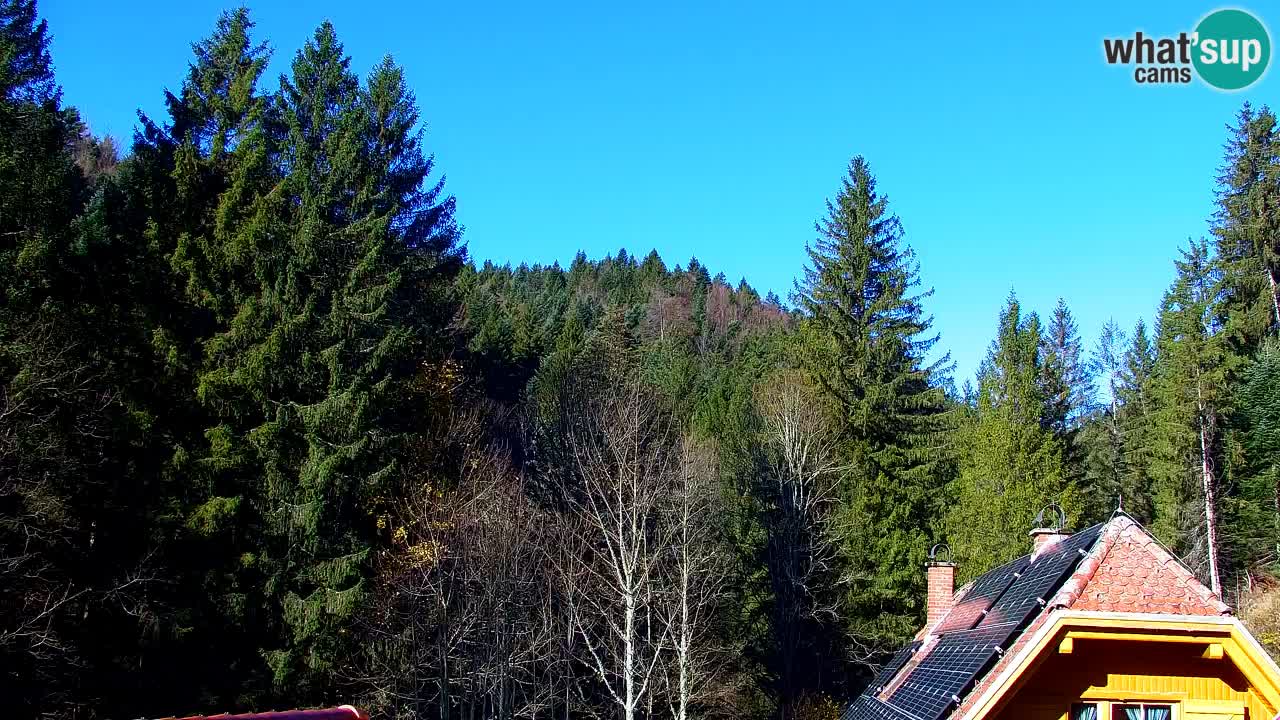 Web kamera Lukanja – Water Village | Pohorje Houses