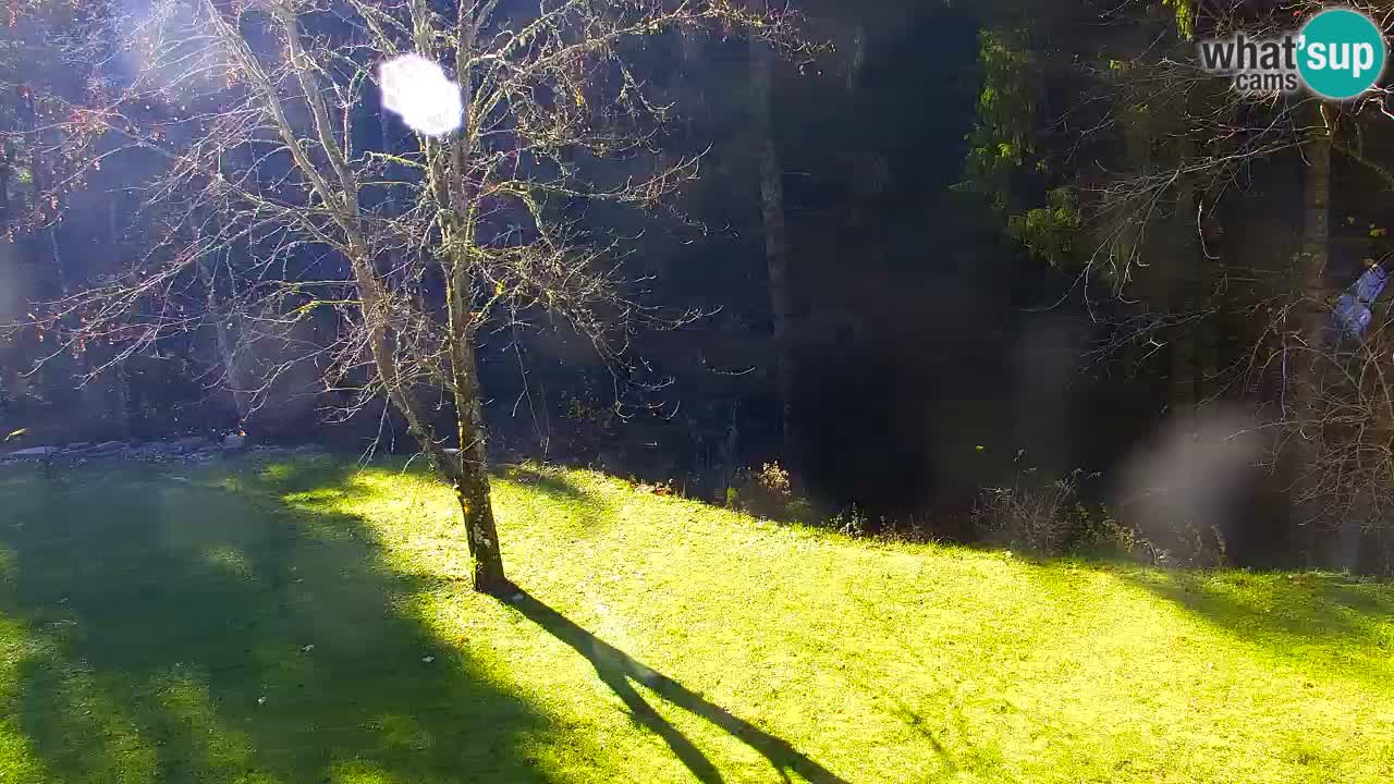 Webcam Lukanja – Pohorje houses a Water village