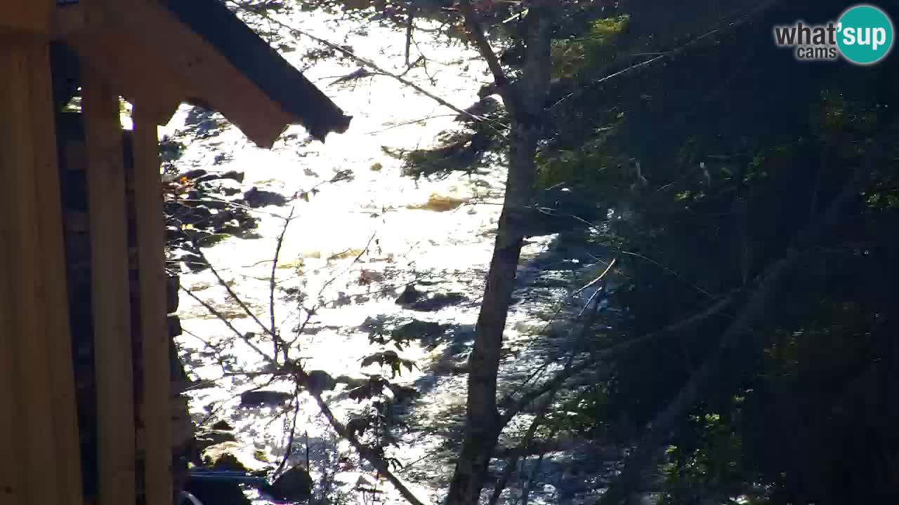 Webcam Lukanja – Water Village | Pohorje Houses