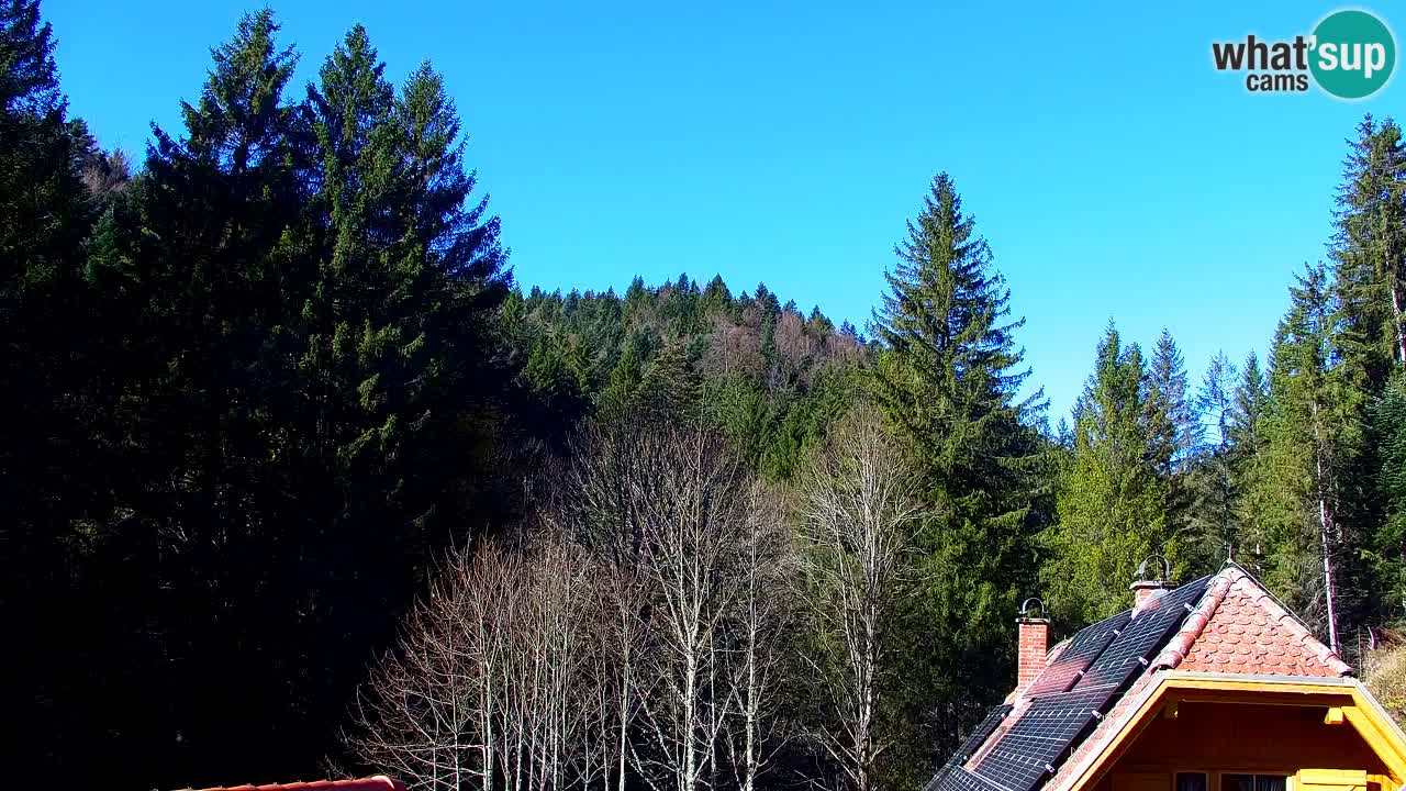 Webcam Lukanja – Water Village | Pohorje Houses