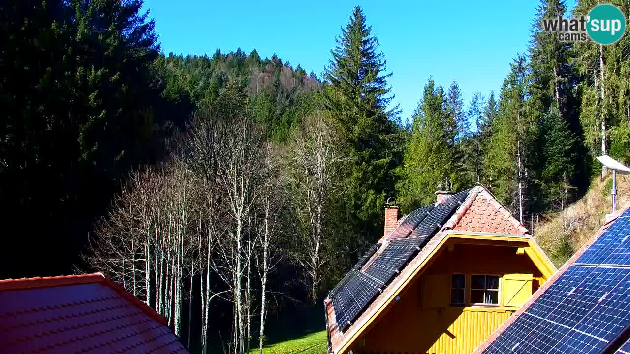 Webcam Lukanja – Water Village | Pohorje Houses