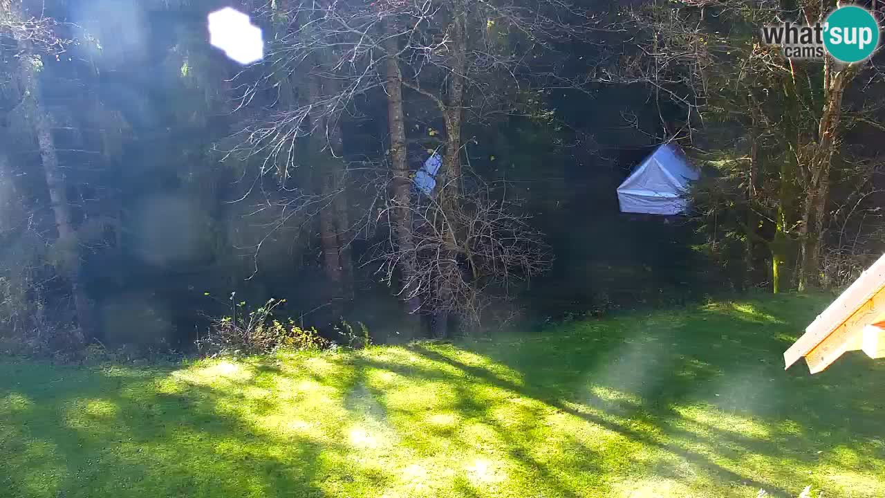 Web kamera Lukanja – Water Village | Pohorje Houses