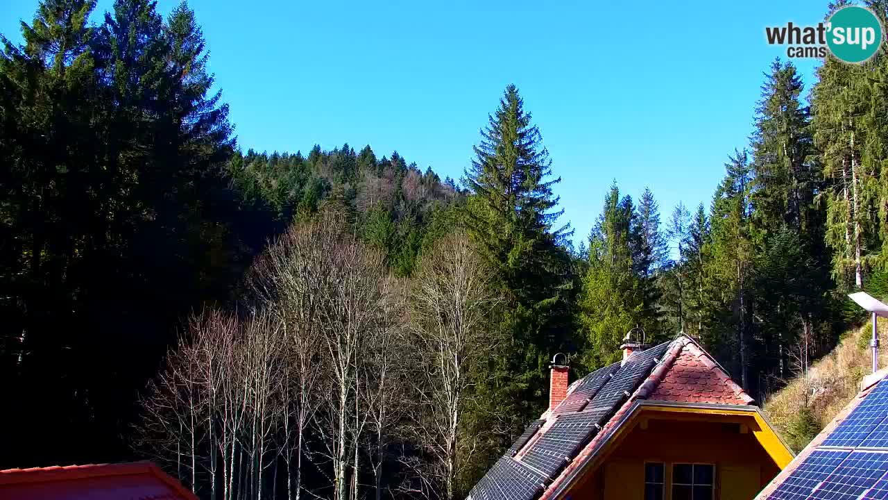 Web kamera Lukanja – Water Village | Pohorje Houses