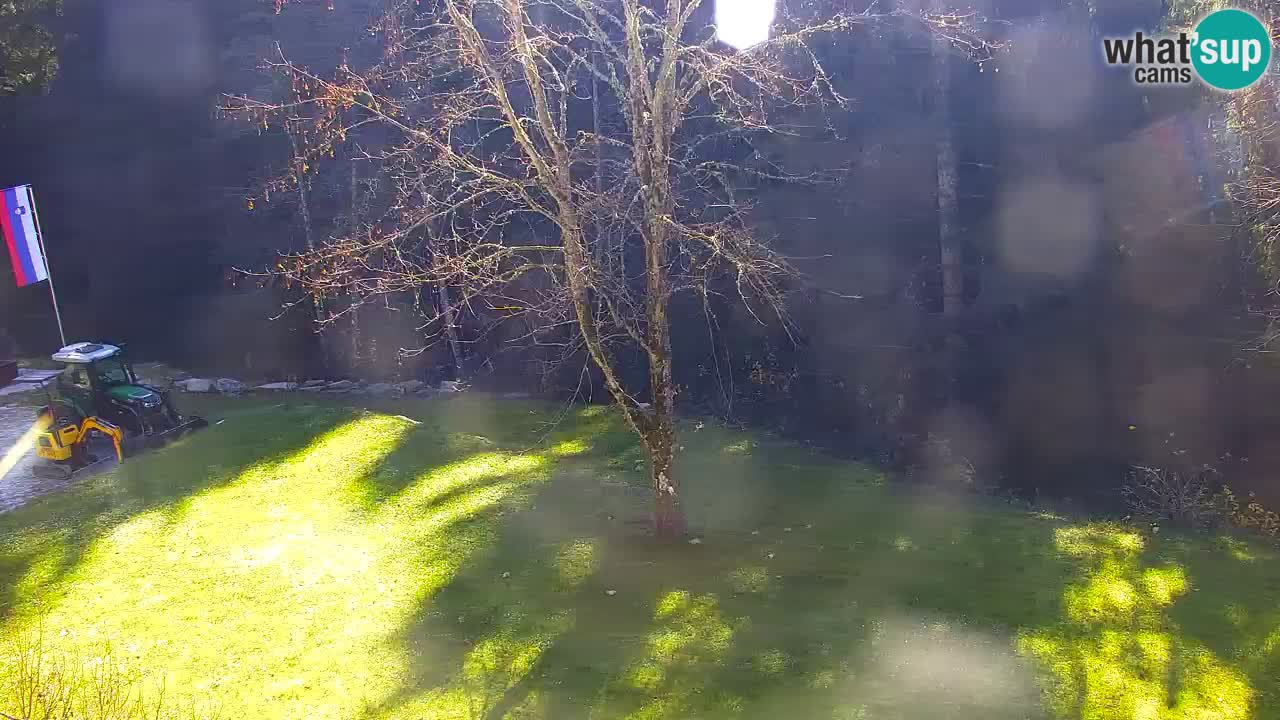 Webcam Lukanja – Water Village | Pohorje Houses