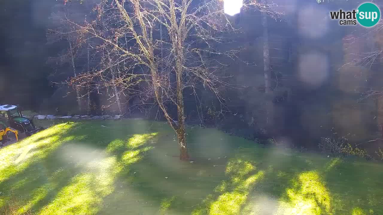 Webcam Lukanja – Pohorje houses a Water village