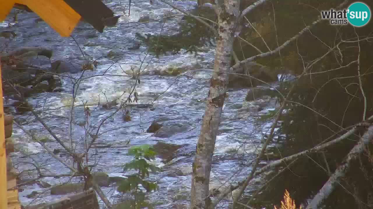 Webcam Lukanja – Pohorje houses a Water village