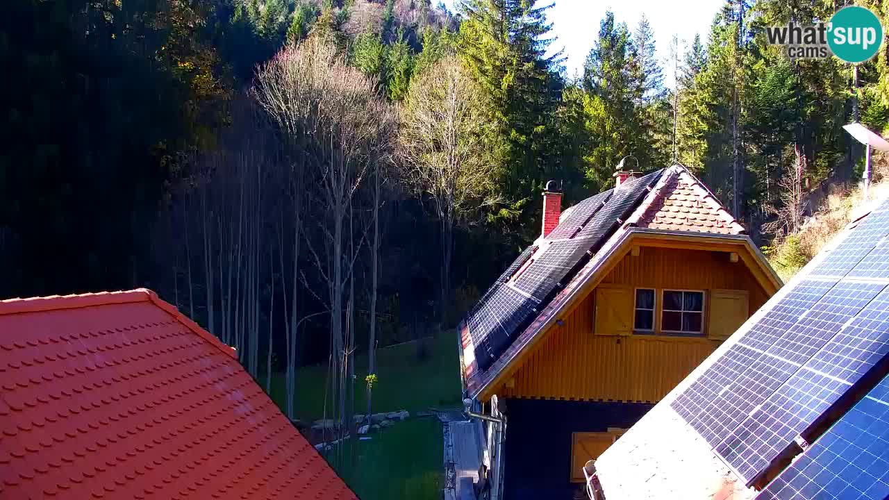 Webcam Lukanja – Water Village | Pohorje Houses
