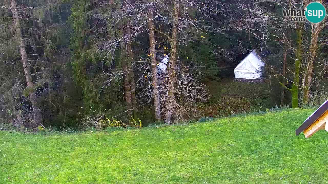 Spletna kamera Lukanja – Water Village | Pohorje Houses