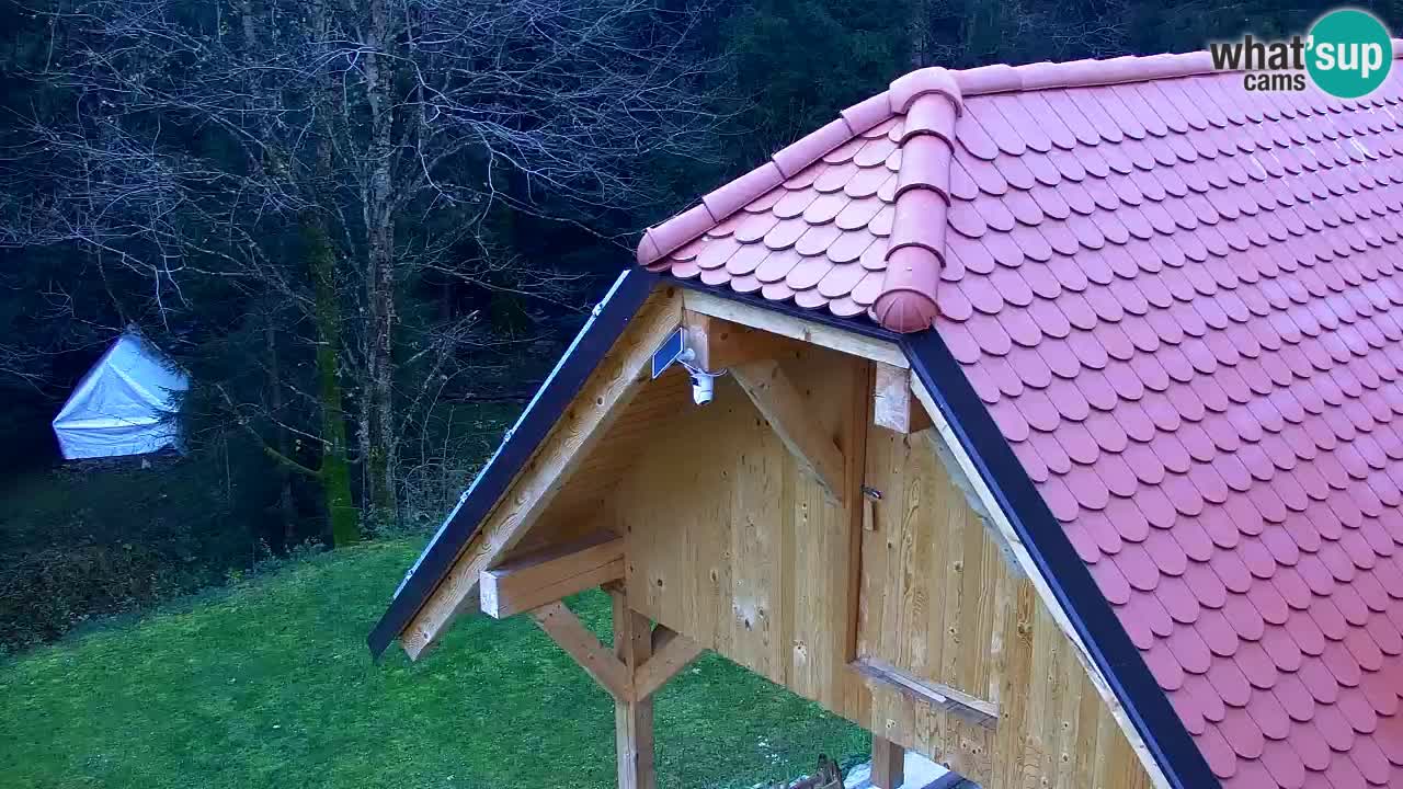 Spletna kamera Lukanja – Water Village | Pohorje Houses