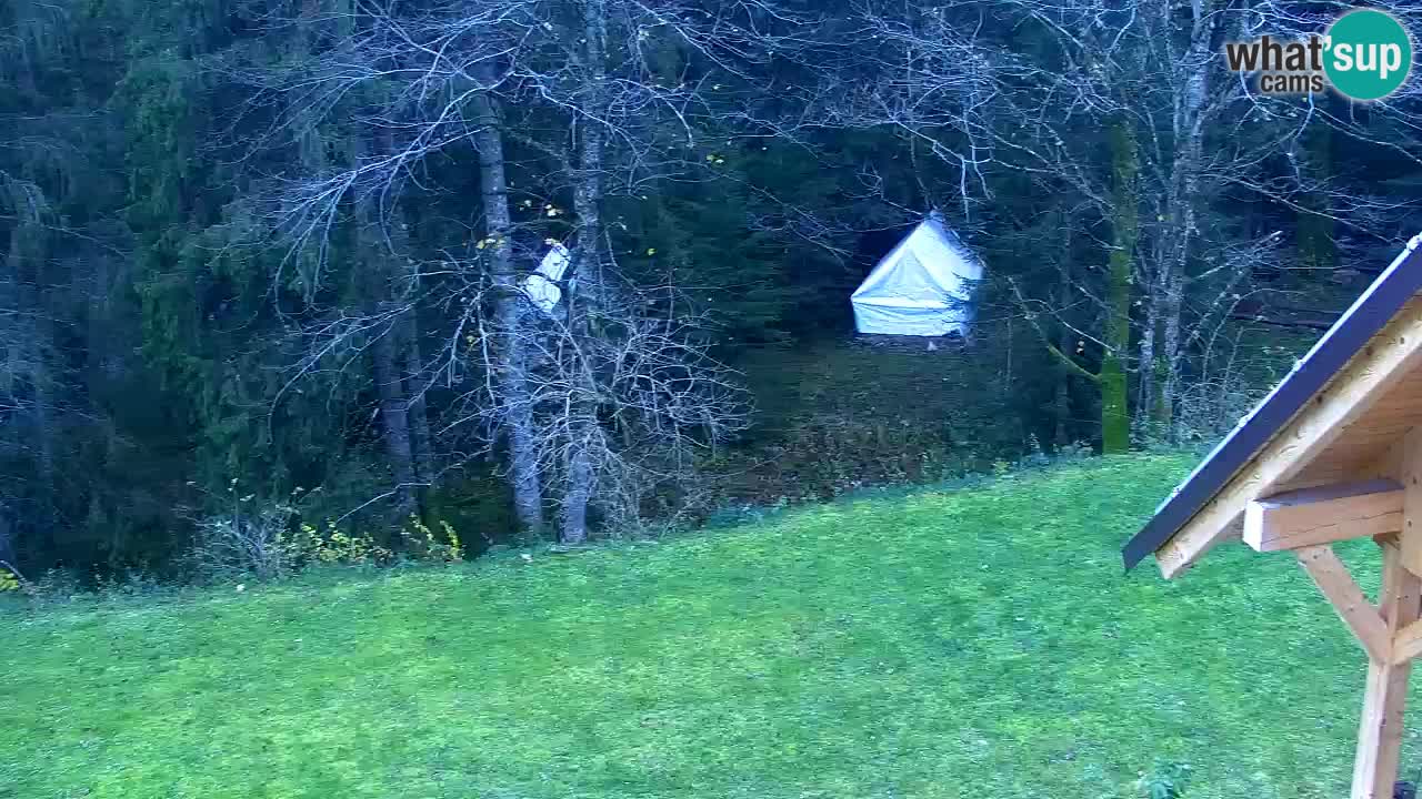 Webcam Lukanja – Pohorje houses a Water village