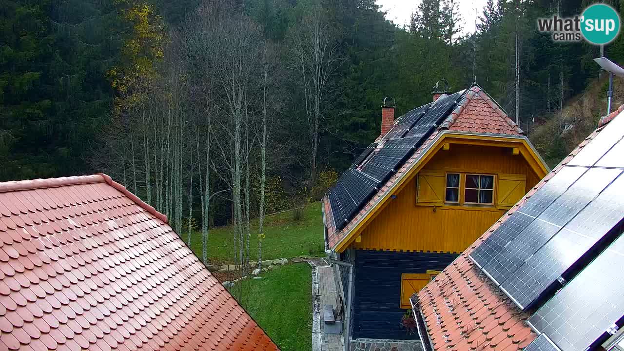 Web kamera Lukanja – Water Village | Pohorje Houses