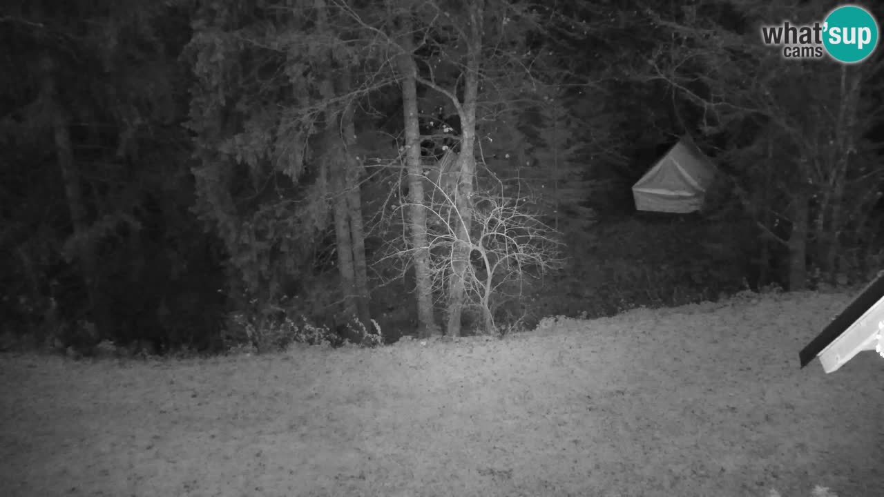 Web kamera Lukanja – Water Village | Pohorje Houses