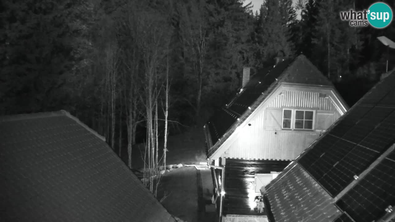Webcam Lukanja – Pohorje houses a Water village