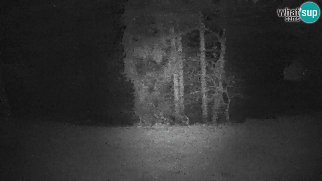 Webcam Lukanja – Pohorje houses a Water village