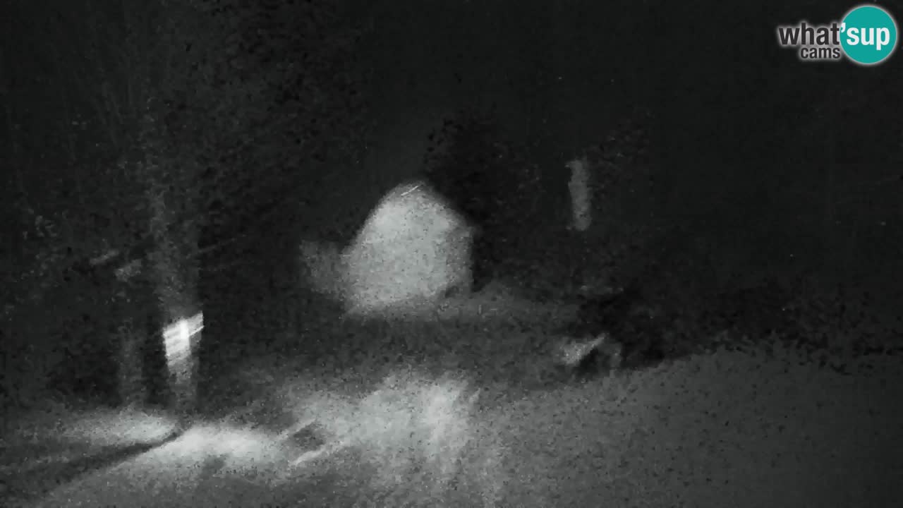 Webcam Lukanja – Pohorje houses a Water village