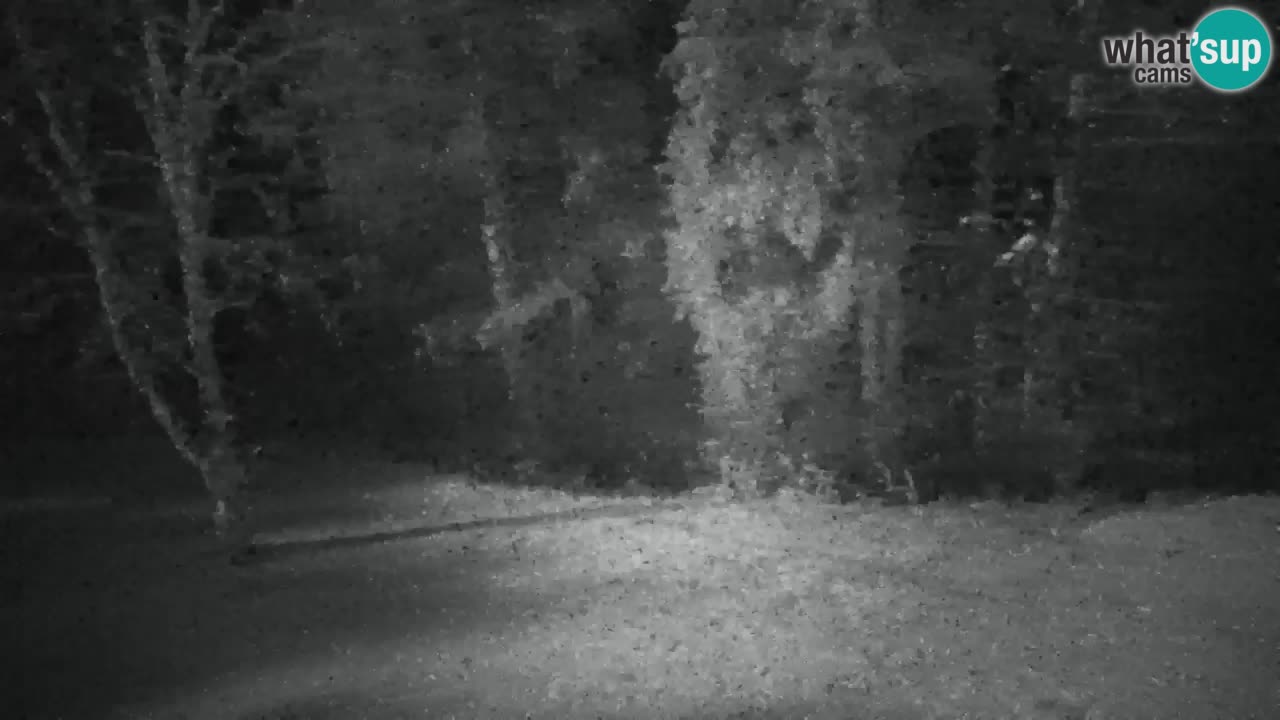 Webcam Lukanja – Pohorje houses a Water village