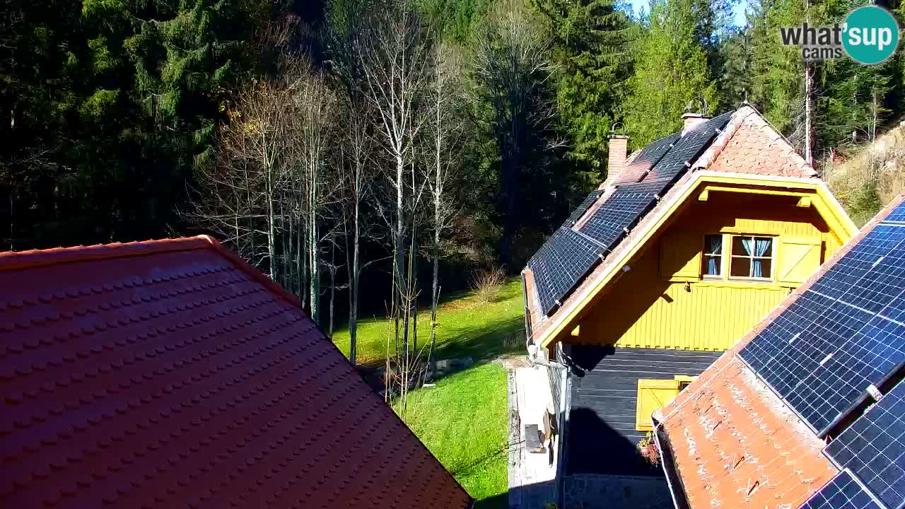 Webcam Lukanja – Water Village | Pohorje Houses