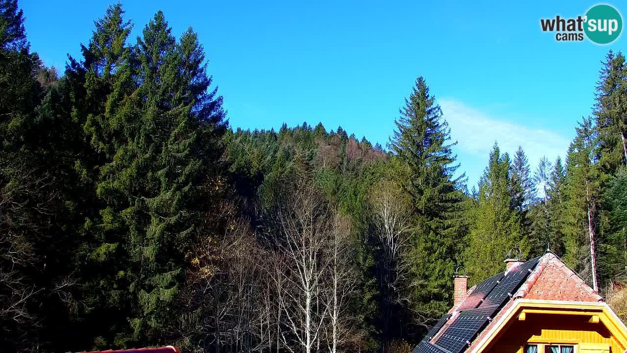 Webcam Lukanja – Water Village | Pohorje Houses