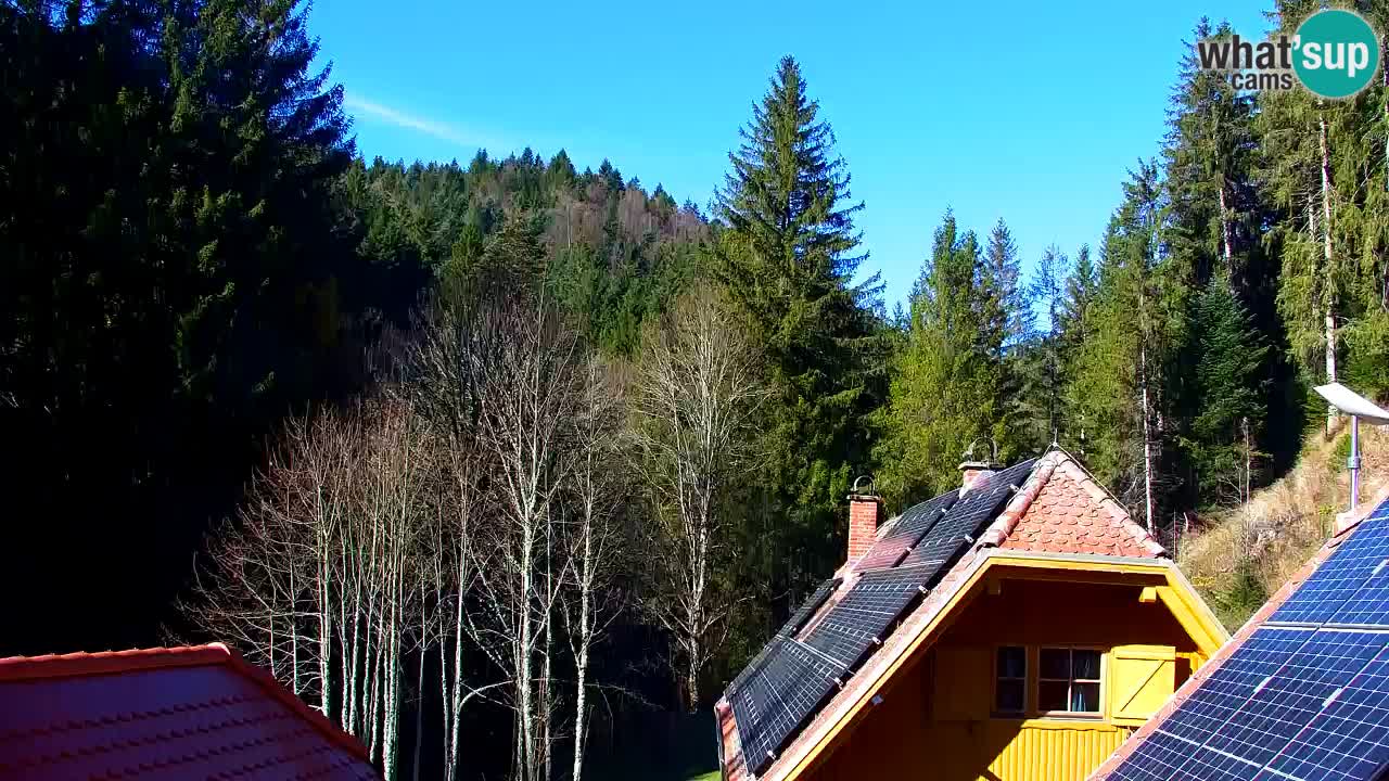 Spletna kamera Lukanja – Water Village | Pohorje Houses