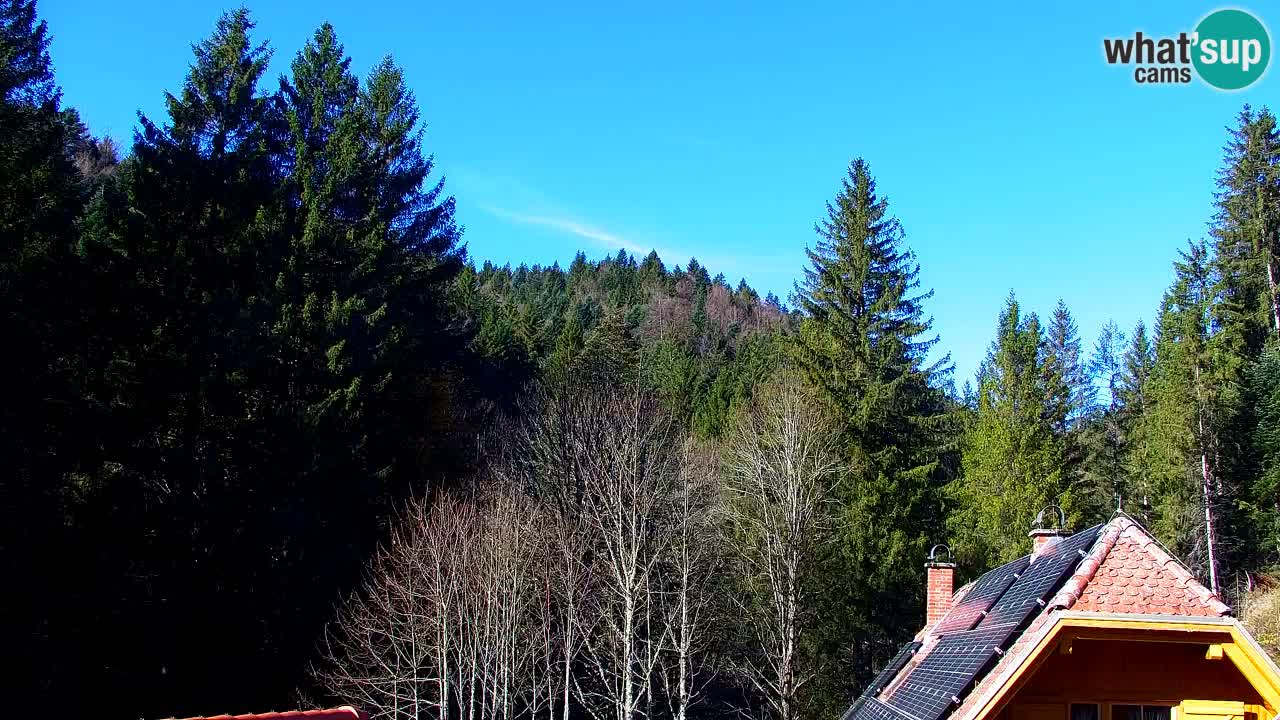 Webcam Lukanja – Water Village | Pohorje Houses