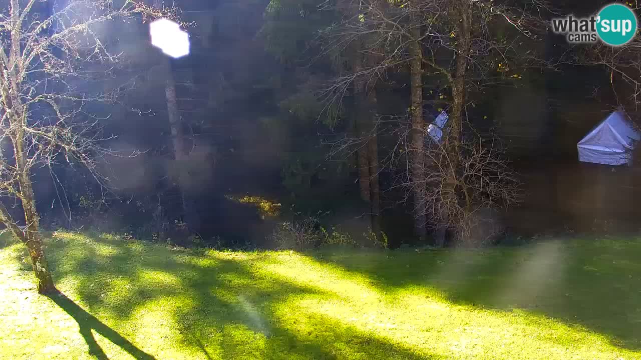 Webcam Lukanja – Pohorje houses a Water village