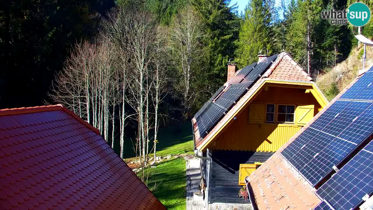 Web kamera Lukanja – Water Village | Pohorje Houses