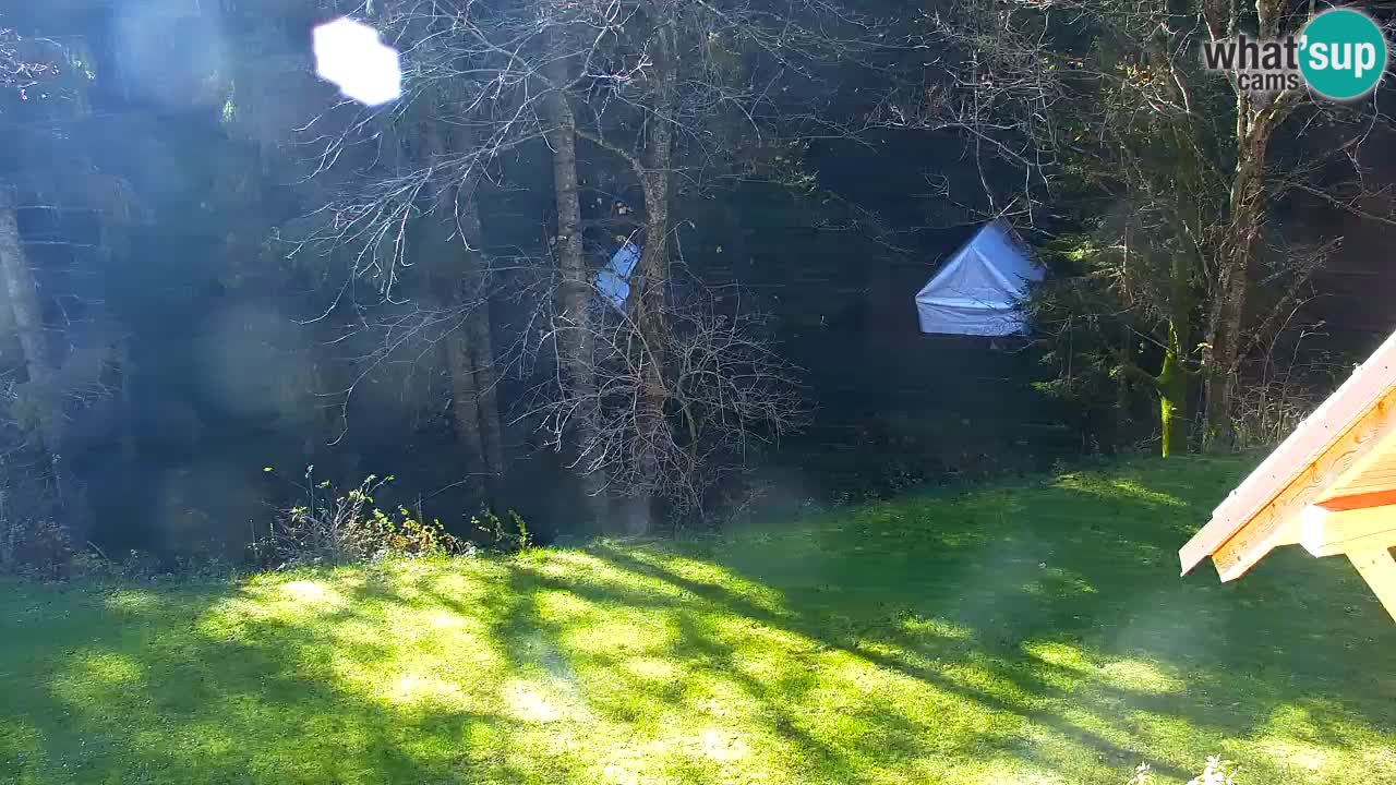 Web kamera Lukanja – Water Village | Pohorje Houses