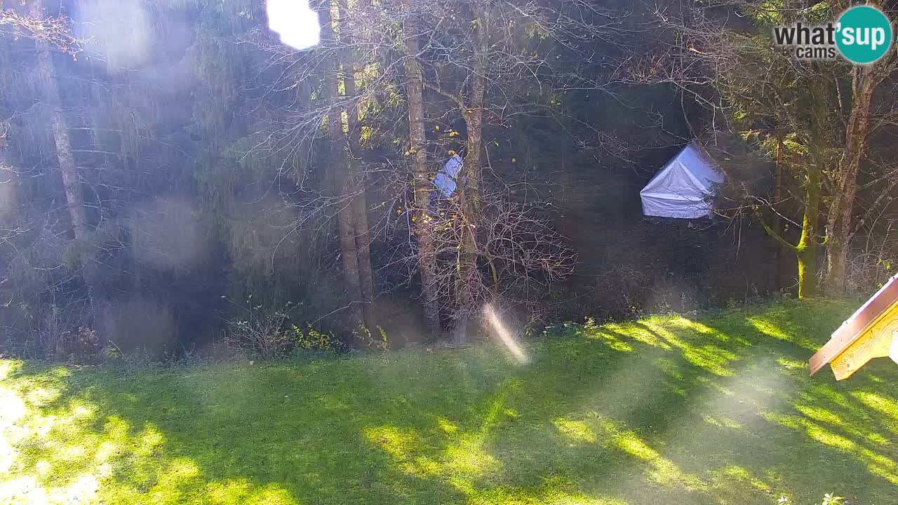 Web kamera Lukanja – Water Village | Pohorje Houses