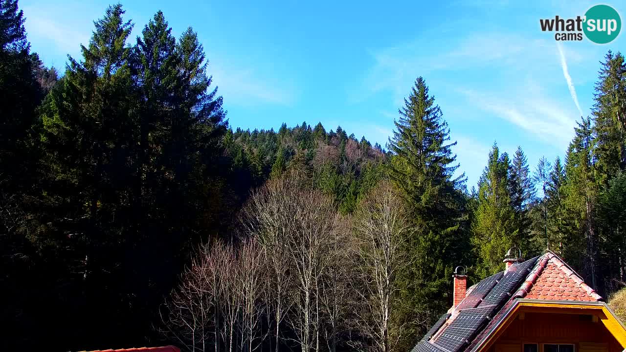 Webcam Lukanja – Water Village | Pohorje Houses