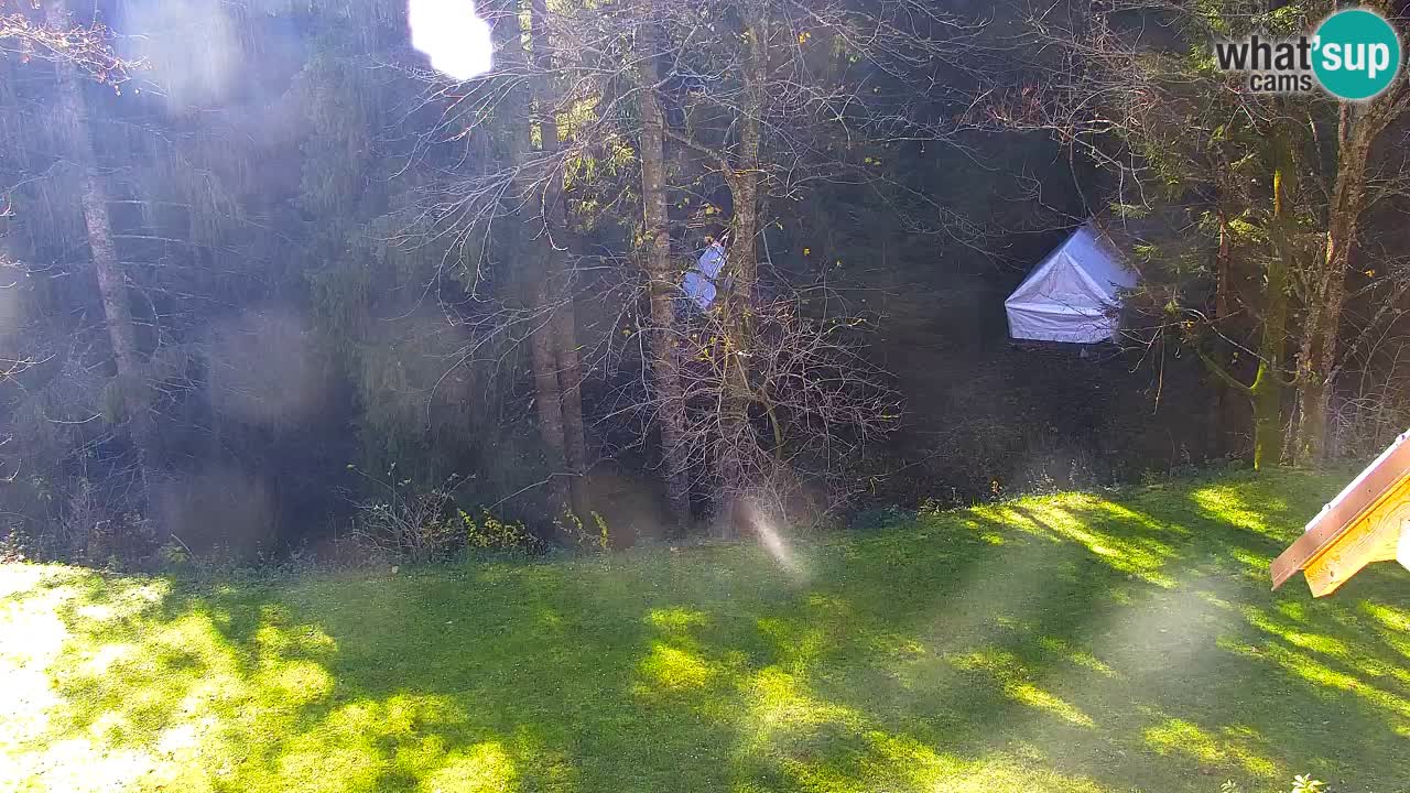 Webcam Lukanja – Pohorje houses a Water village