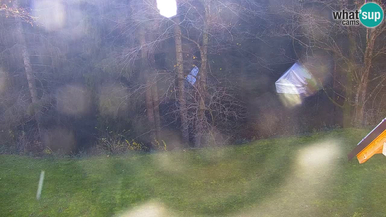 Webcam Lukanja – Water Village | Pohorje Houses