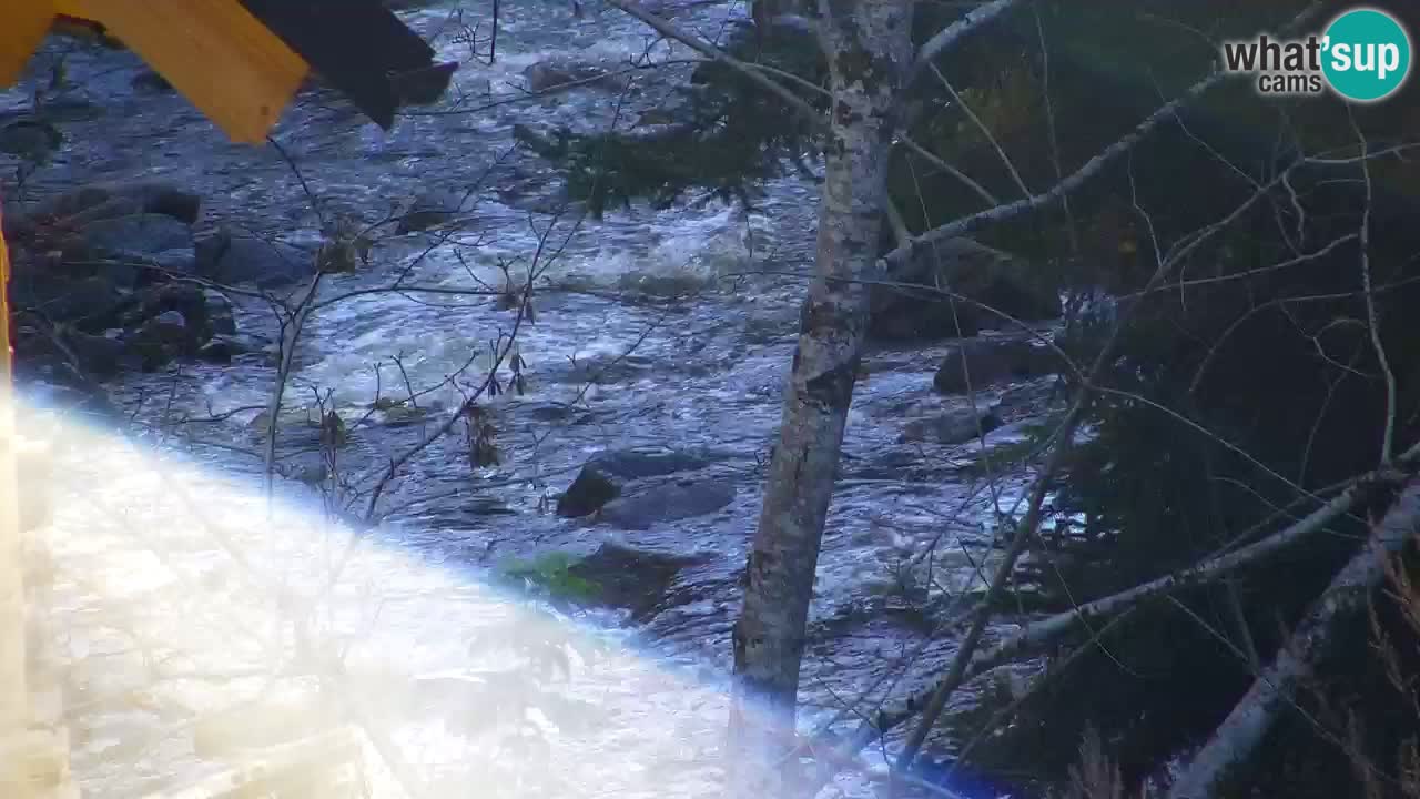 Webcam Lukanja – Pohorje houses a Water village