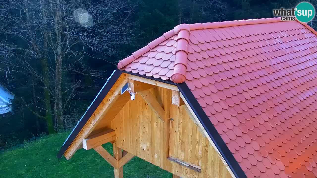 Spletna kamera Lukanja – Water Village | Pohorje Houses