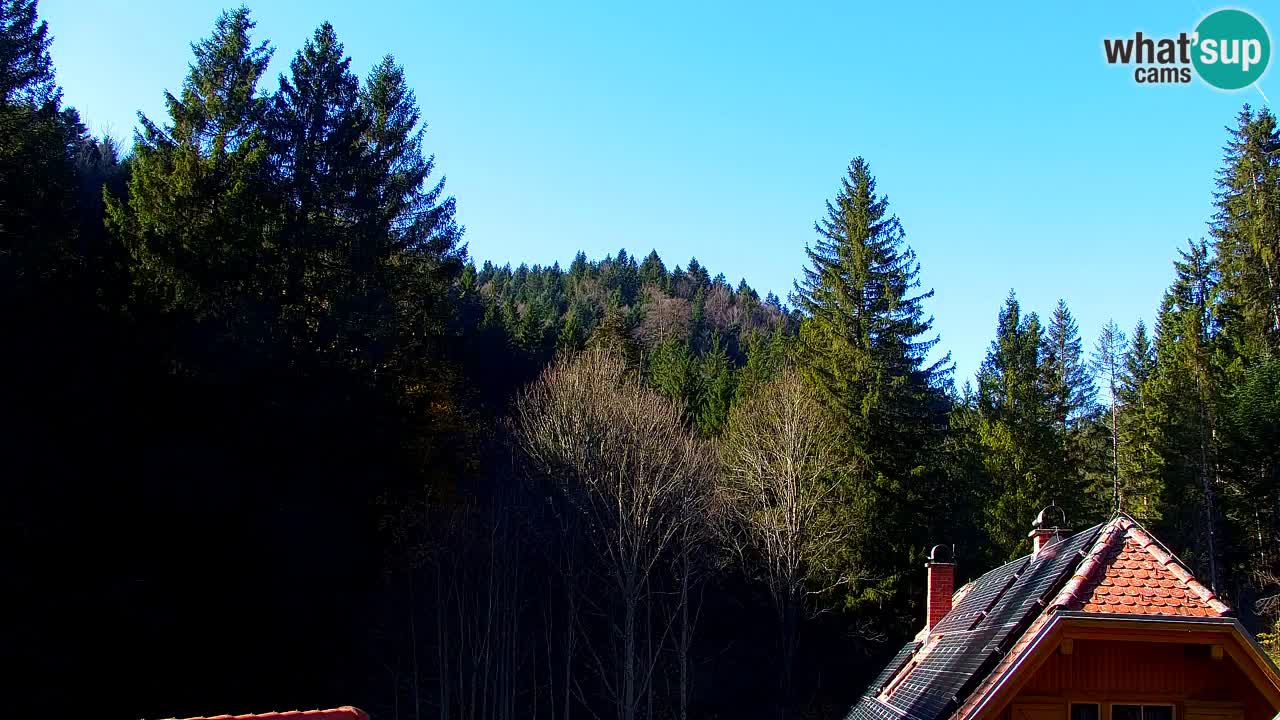 Webcam Lukanja – Pohorje houses a Water village