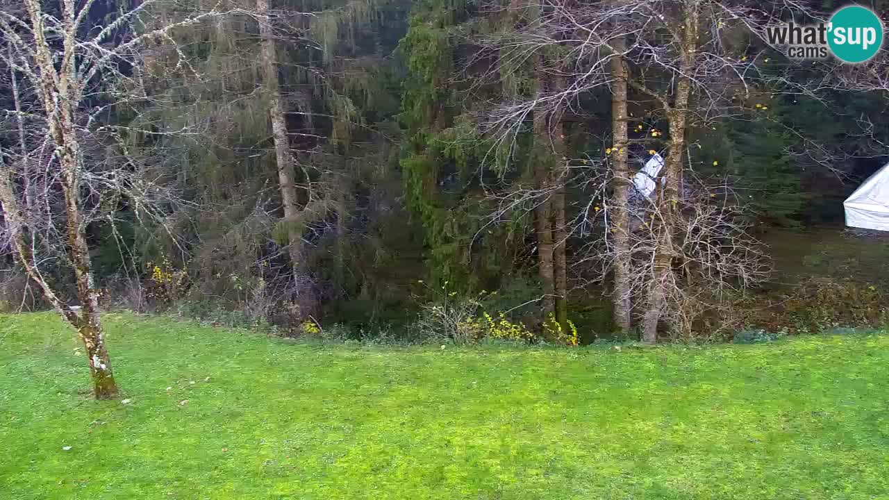 Web kamera Lukanja – Water Village | Pohorje Houses