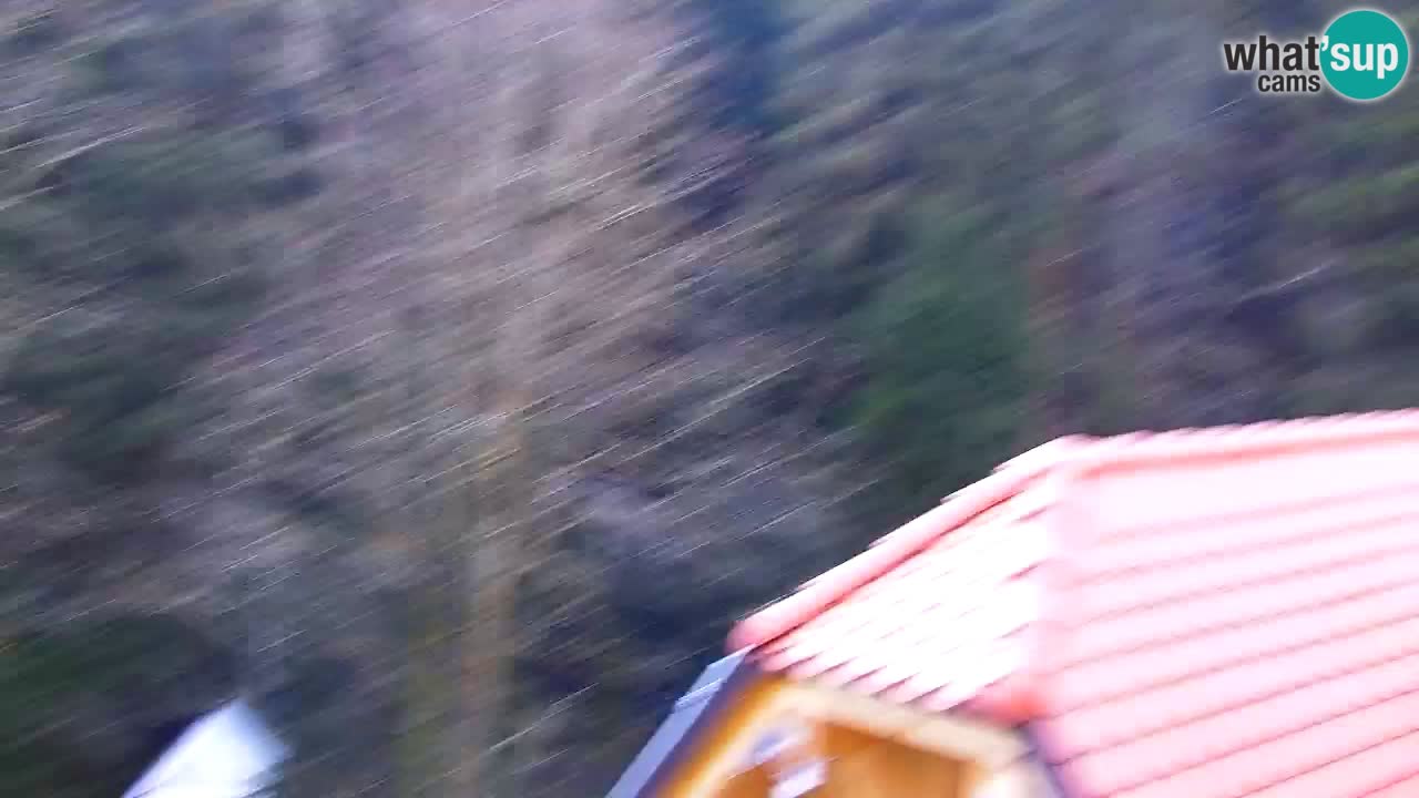 Webcam Lukanja – Pohorje houses a Water village