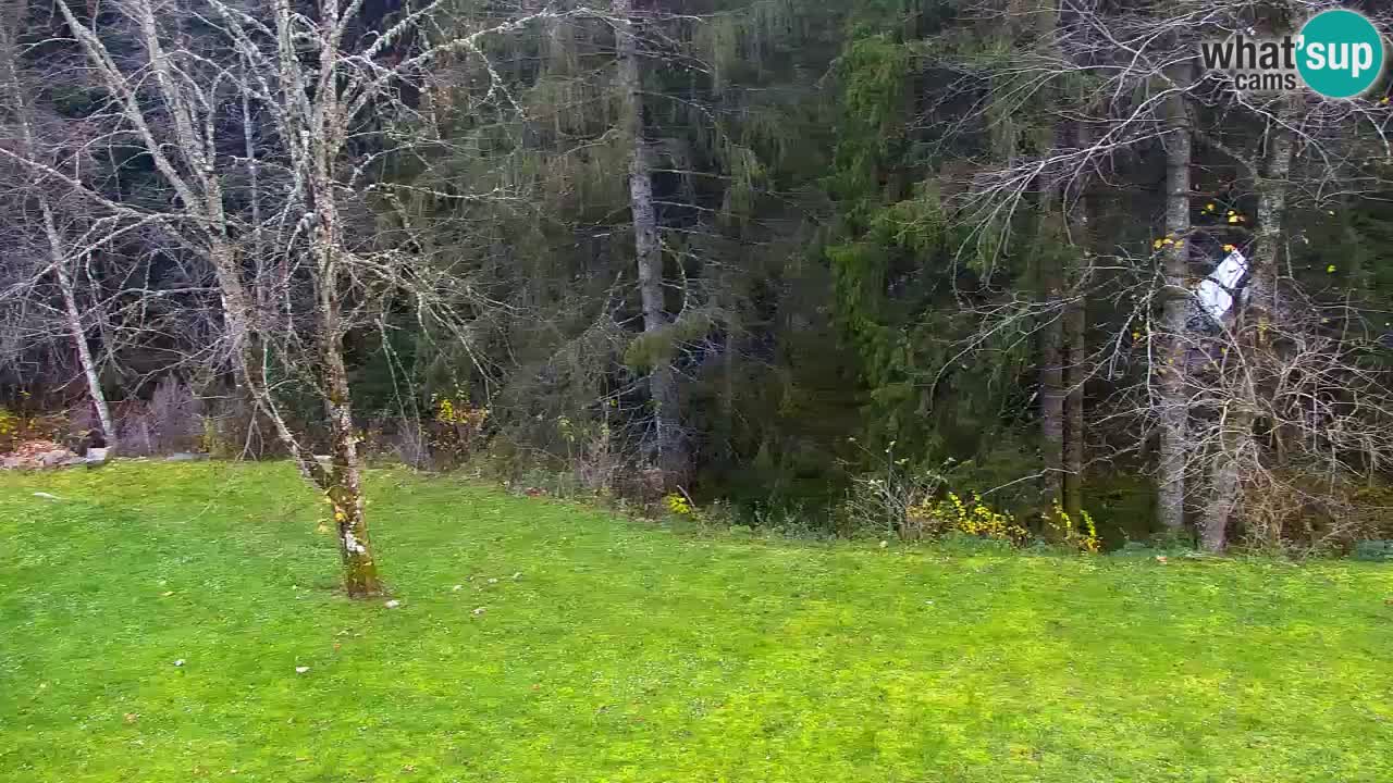 Webcam Lukanja – Water Village | Pohorje Houses