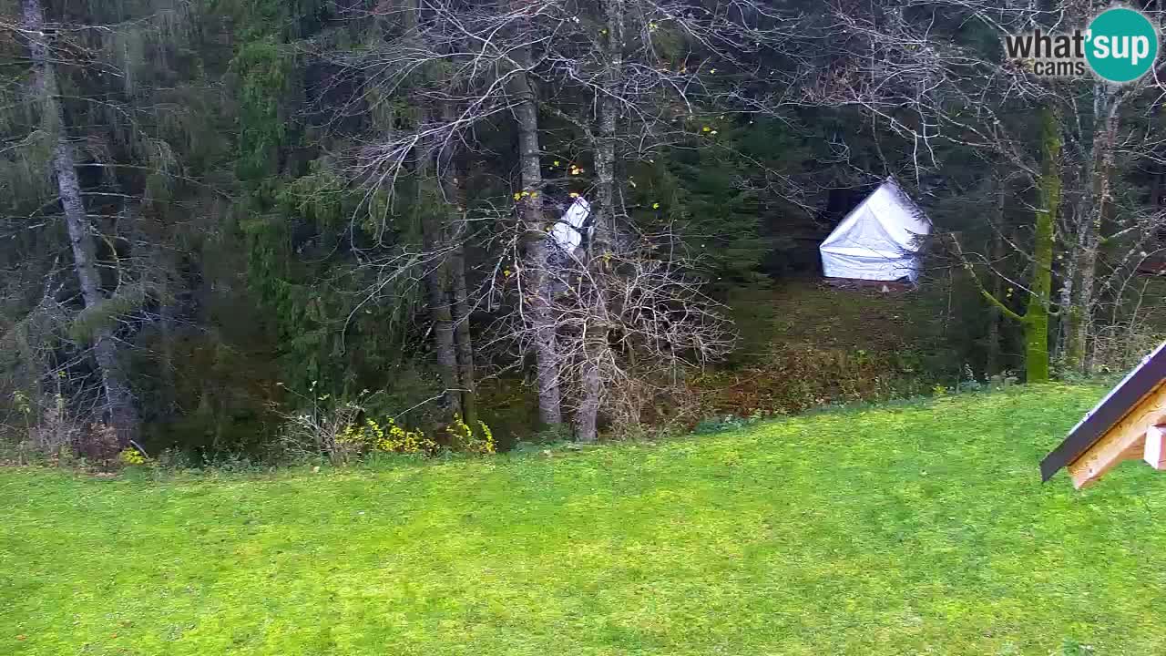 Webcam Lukanja – Water Village | Pohorje Houses