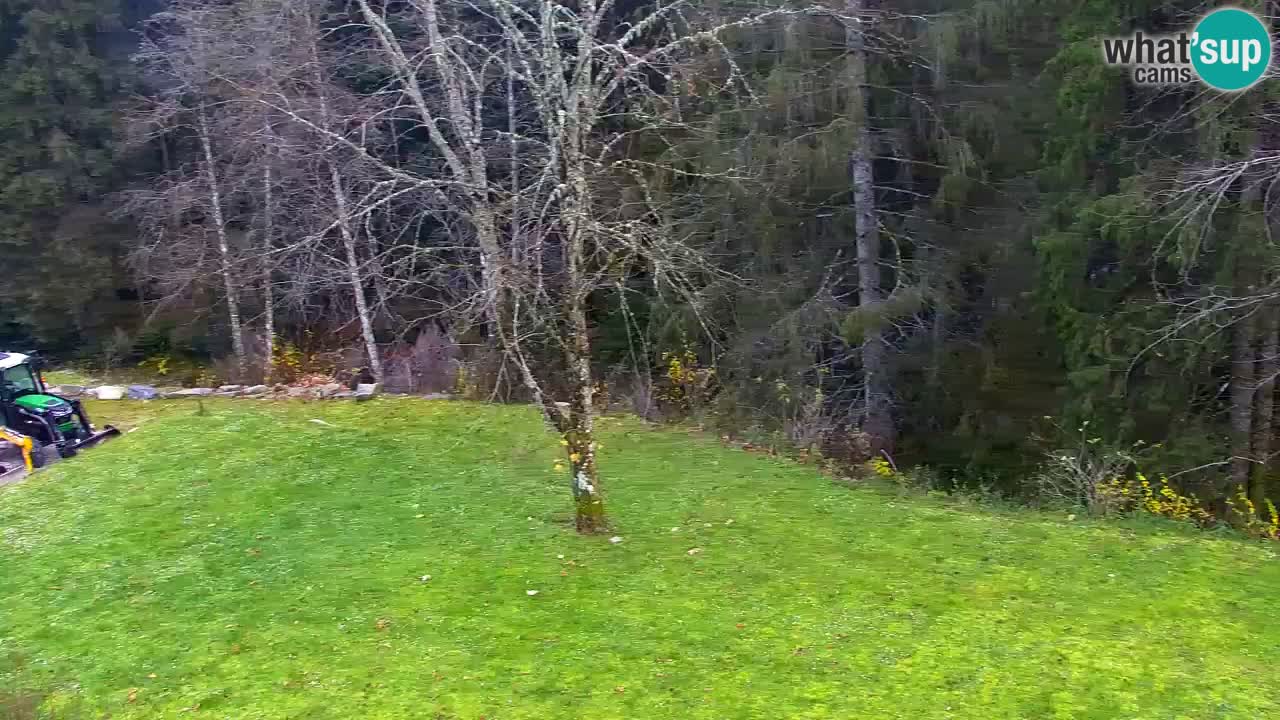 Webcam Lukanja – Water Village | Pohorje Houses