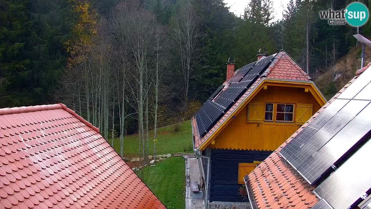 Webcam Lukanja – Pohorje houses a Water village