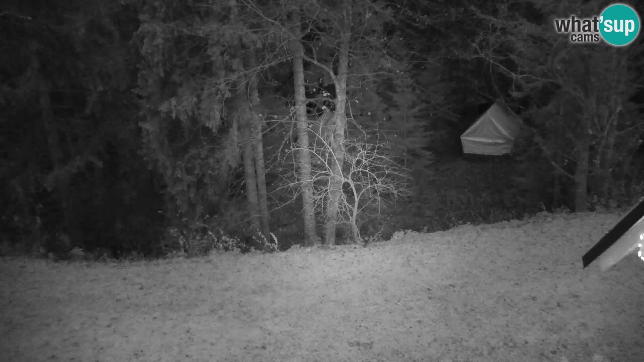 Webcam Lukanja – Water Village | Pohorje Houses