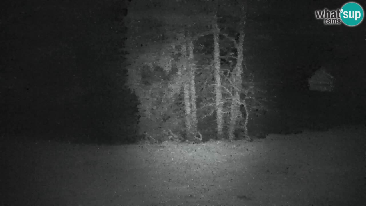 Webcam Lukanja – Water Village | Pohorje Houses