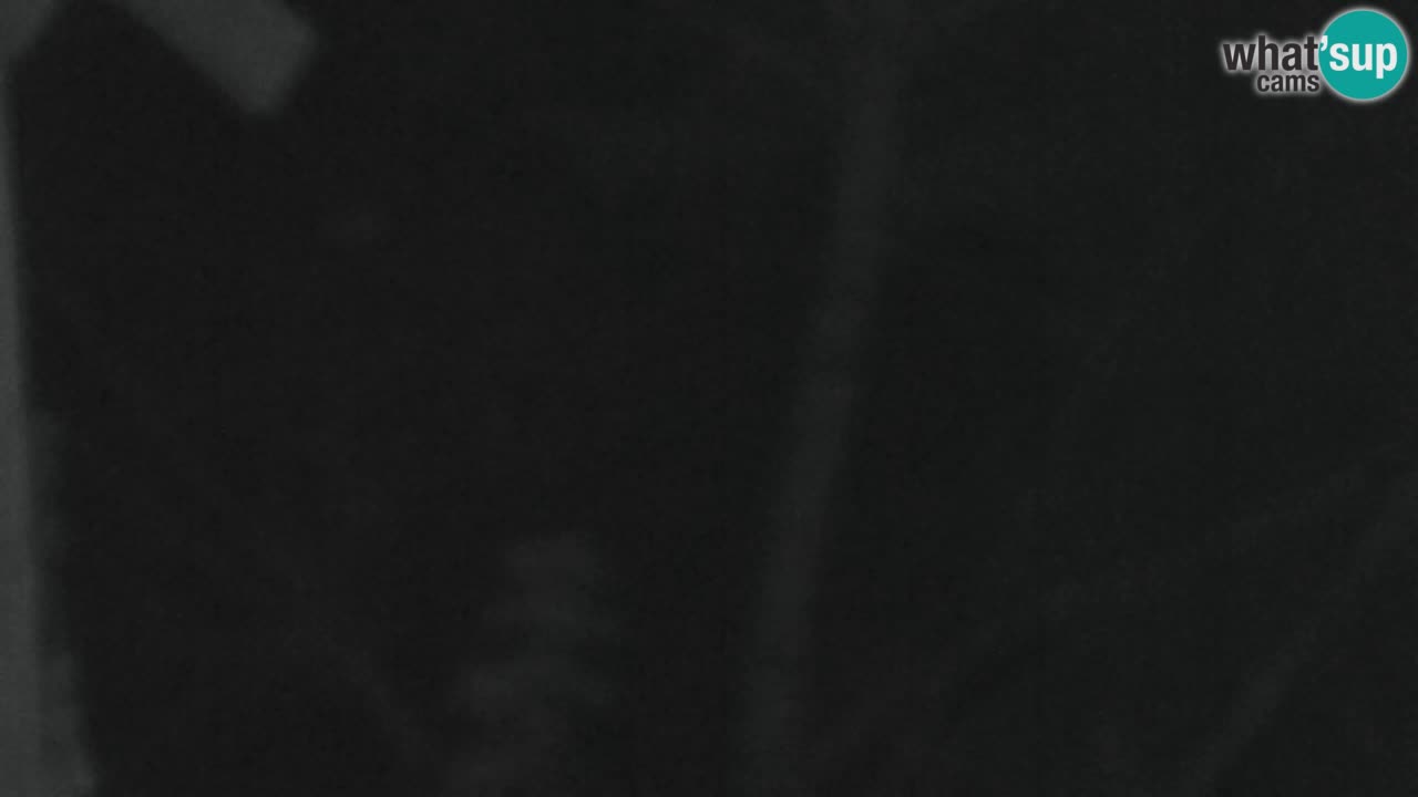 Webcam Lukanja – Water Village | Pohorje Houses