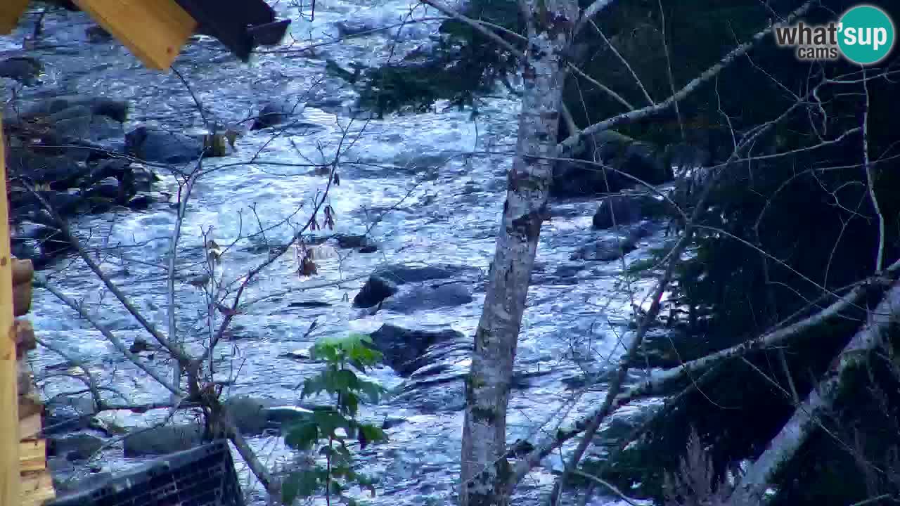 Webcam Lukanja – Water Village | Pohorje Houses