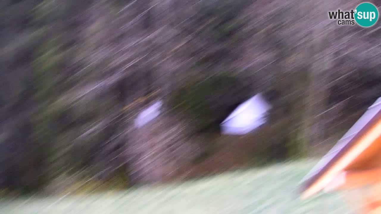 Webcam Lukanja – Water Village | Pohorje Houses